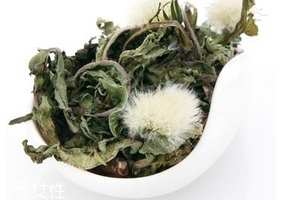 蒲公英茶怎么做？蒲公英茶做法超簡(jiǎn)單