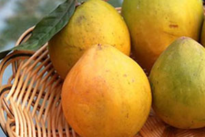 黃晶果的功效作用 黃晶果的功效作用