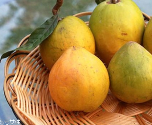 黃晶果多少錢一斤？黃晶果好吃嗎