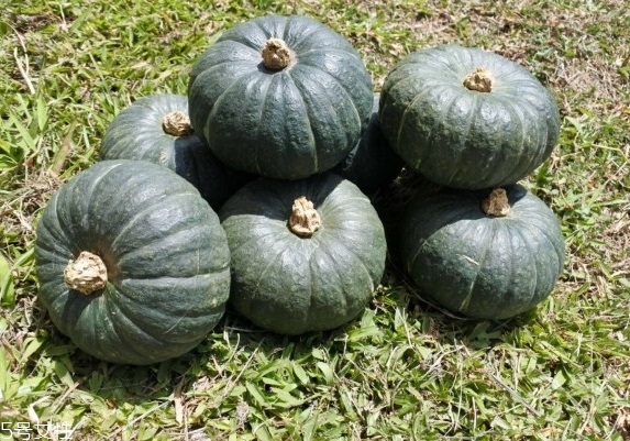 南瓜怎么保存與挑選才好吃 南瓜怎么保存與挑選才好吃