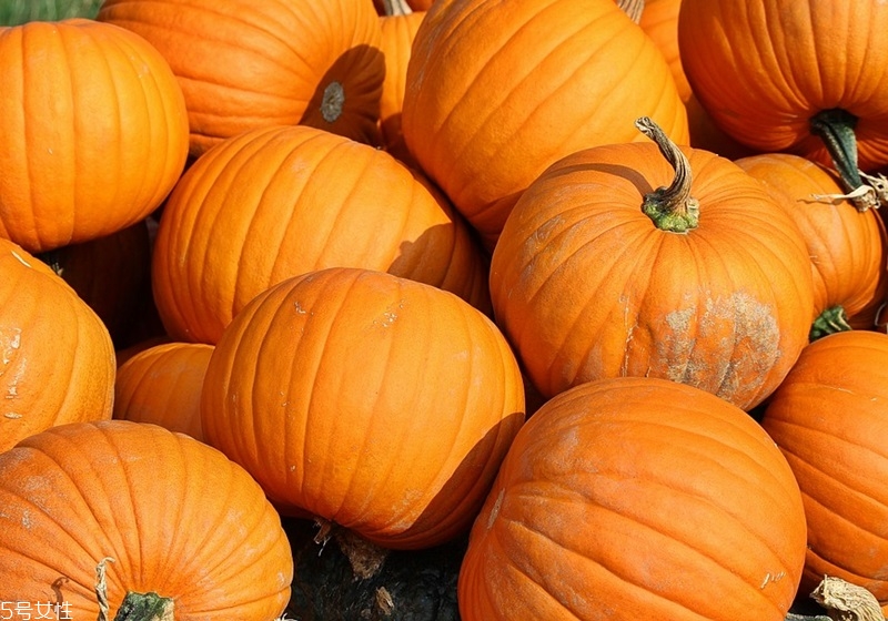 南瓜怎么保存與挑選才好吃 南瓜怎么保存與挑選才好吃