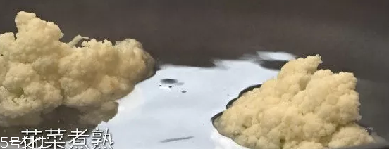 吃花菜可以減肥嗎？熱量低適合減肥時(shí)吃