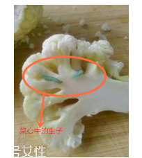 花菜怎么洗才干凈？一定要把蟲子洗掉