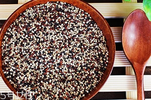 藜麥可以蒸米飯嗎？藜麥蒸米飯要泡嗎？