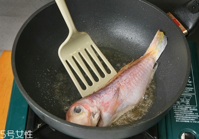 鹽什么時候放最好 鹽為什么要最后放 鹽什么時候放最好 鹽為什么要最后放