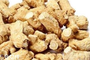 西洋參是哪里產(chǎn)的？長白山為主要產(chǎn)地