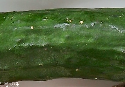 黃瓜怎么挑新鮮 黃瓜怎么保存時(shí)間長