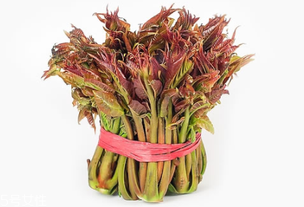 香椿怎樣長期保存？這樣做可儲存一年