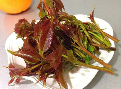 香椿吃了上火嗎？怕上火吃涼拌香椿