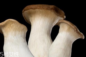 杏鮑菇怎么洗才干凈？鹽水泡泡輕松去污