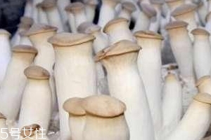杏鮑菇生酶了能吃嗎？長(zhǎng)毛了也能吃