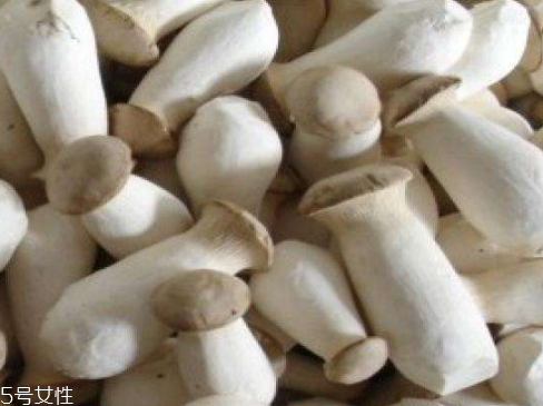 杏鮑菇生酶了能吃嗎？長(zhǎng)毛了也能吃