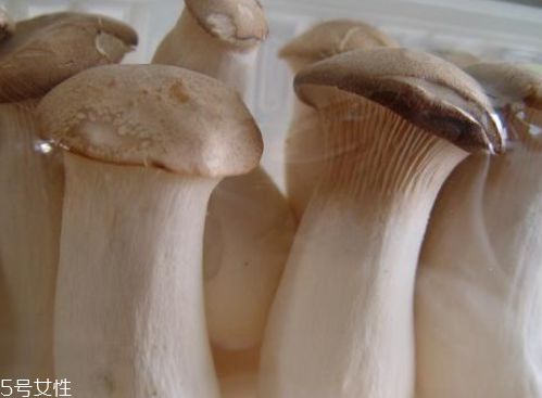 杏鮑菇生酶了能吃嗎？長(zhǎng)毛了也能吃
