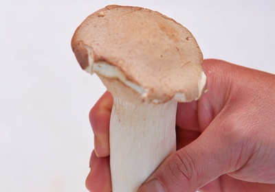 新鮮香菇怎么挑選與處理 新鮮香菇怎么挑選與處理