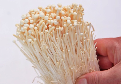 新鮮香菇怎么挑選與處理 新鮮香菇怎么挑選與處理