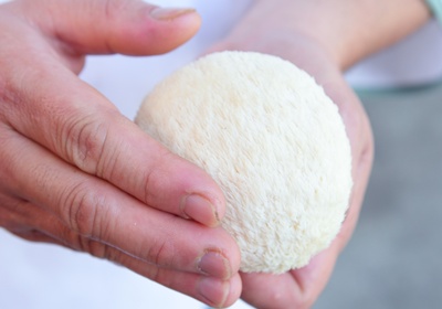 新鮮香菇怎么挑選與處理 新鮮香菇怎么挑選與處理