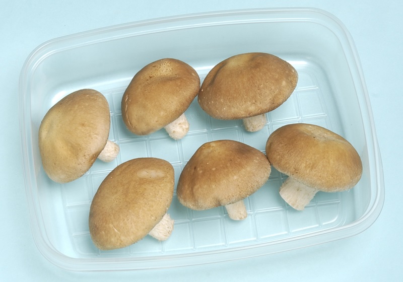 新鮮香菇怎么挑選與處理 新鮮香菇怎么挑選與處理