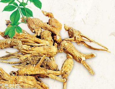 西洋參會過敏嗎？不排除這種可能