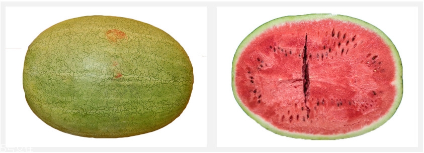 西瓜怎么切好看 擺盤裝果盒都方便 西瓜怎么切好看 擺盤裝果盒都方便