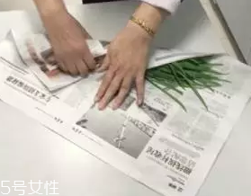 韭菜怎么保存時間長？真空保存最持久