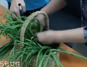 韭菜怎么保存時間長？真空保存最持久