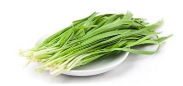 韭菜怎么保存時間長？真空保存最持久