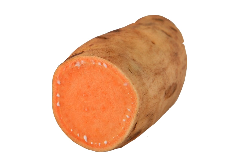 白心紅薯和黃心紅薯和紅心紅薯的區(qū)別 白心紅薯和黃心紅薯和紅心紅薯的區(qū)別