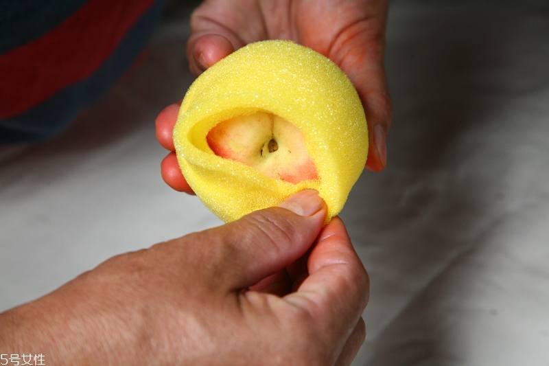 水蜜桃怎么保存時間長 水蜜桃的保存方法 水蜜桃怎么保存時間長 水蜜桃的保存方法