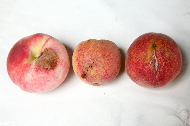 水蜜桃怎么保存時間長 水蜜桃的保存方法 水蜜桃怎么保存時間長 水蜜桃的保存方法