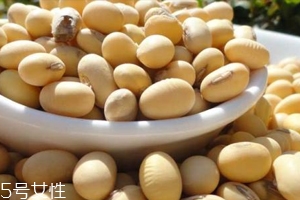 黃豆泡醋黃豆要煮熟嗎？生熟都可以泡