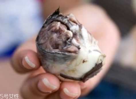 牛蛋怎么清洗 清洗方法 牛蛋怎么清洗 清洗方法