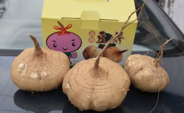 涼薯孕婦可以吃嗎 這樣挑選最好吃 涼薯孕婦可以吃嗎 這樣挑選最好吃