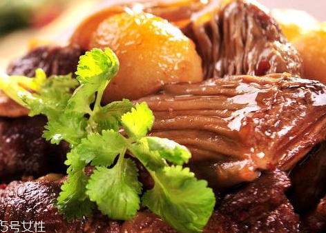 紅燒牛肉可以放蠔油嗎 當然可以 紅燒牛肉可以放蠔油嗎 當然可以