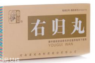 金匱腎氣丸和右歸丸區(qū)別 金匱腎氣丸和右歸丸區(qū)別