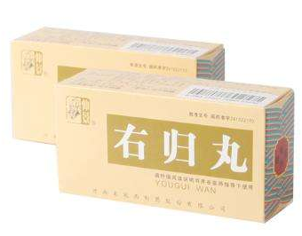 金匱腎氣丸和右歸丸區(qū)別 金匱腎氣丸和右歸丸區(qū)別