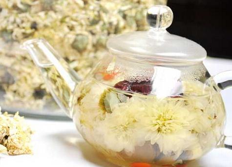 白菊泡水喝的功效 沖泡方法 白菊泡水喝的功效 沖泡方法