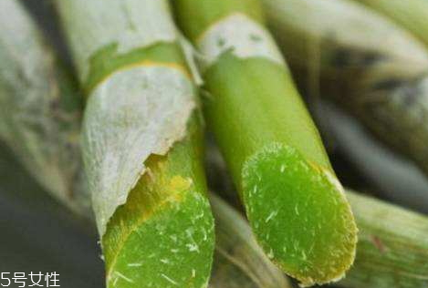 石斛是酸性還是堿性 呈弱酸性 石斛是酸性還是堿性 呈弱酸性