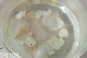 西洋參晚上可以喝嗎？晚上喝影響睡眠