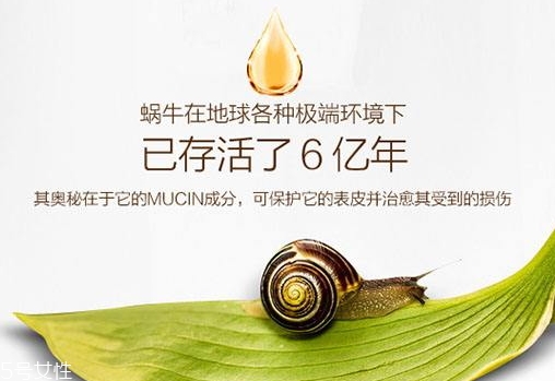 蝸牛原液護(hù)膚品好不好 蝸牛原液護(hù)膚品好不好