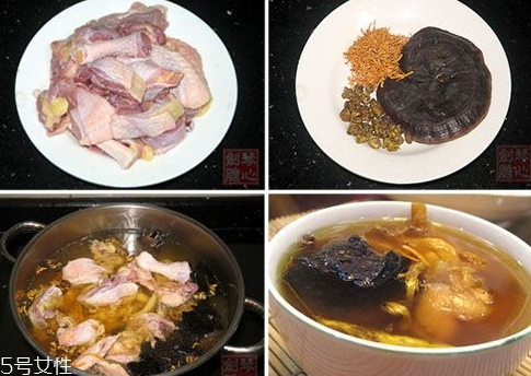 石斛和靈芝能一起煮嗎 石斛和靈芝能一起煮嗎