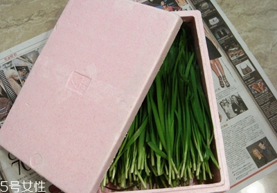 韭菜怎么保存與挑選 韭菜怎么保存與挑選