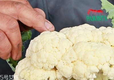 花椰菜怎么挑選 花椰菜的處理技巧 花椰菜怎么挑選 花椰菜的處理技巧