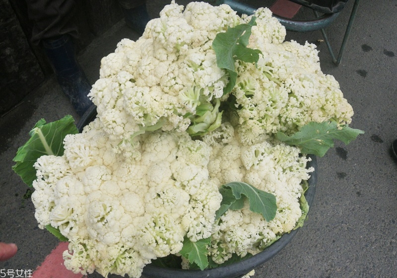 花椰菜怎么挑選 花椰菜的處理技巧 花椰菜怎么挑選 花椰菜的處理技巧