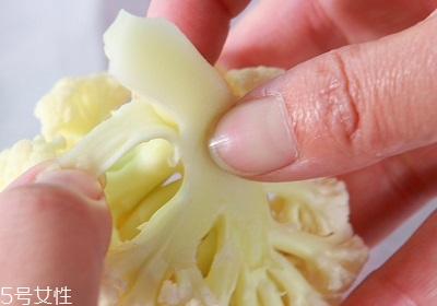 花椰菜怎么挑選 花椰菜的處理技巧 花椰菜怎么挑選 花椰菜的處理技巧