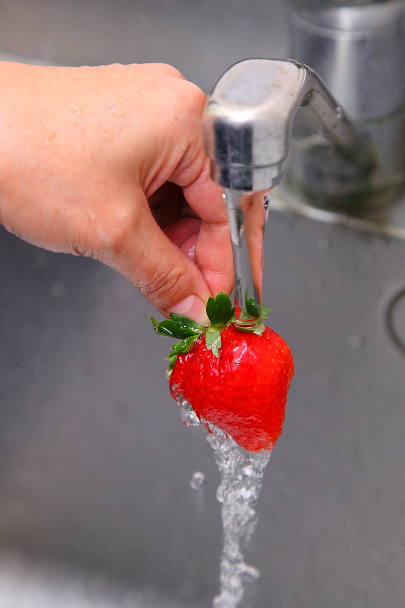 摘草莓怎么選好吃的 摘草莓怎么選好吃的