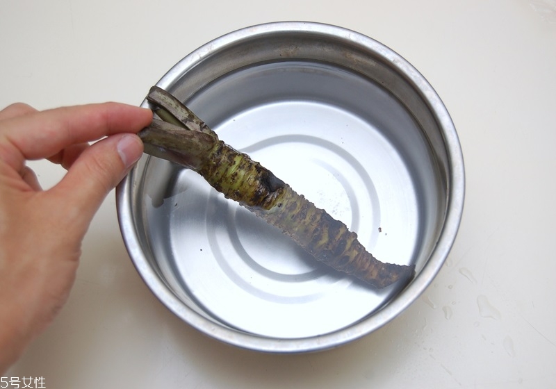 山葵和芥末的區(qū)別 山葵粉怎么磨 山葵和芥末的區(qū)別 山葵粉怎么磨