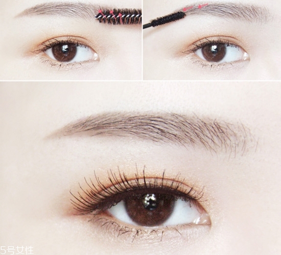新手怎樣畫眉毛自然又好看 五種實用眉毛畫法 新手怎樣畫眉毛自然又好看 五種實用眉毛畫法