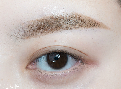 染眉膠的保持時(shí)間 染眉膠怎么用及使用教程