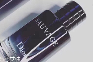 迪奧曠野和桀驁哪個(gè)好？曠野香水適合暖男