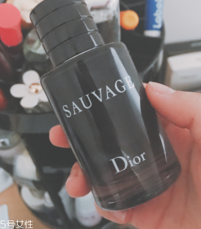 迪奧曠野和桀驁哪個(gè)好？曠野香水適合暖男